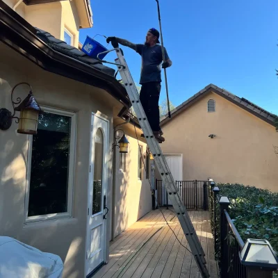 Domestic